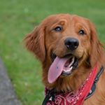 Profile Picture of Chris Galvin (@dozerbubba) on Instagram
