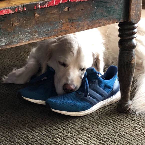 Profile Picture of Amy Higgins (@amyhiggins5) on Poshmark