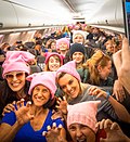 Profile Picture of Pussyhat - Wikipediaon Wikipedia