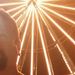 Profile Picture of Scott Grim (@sgrim66) on Pinterest