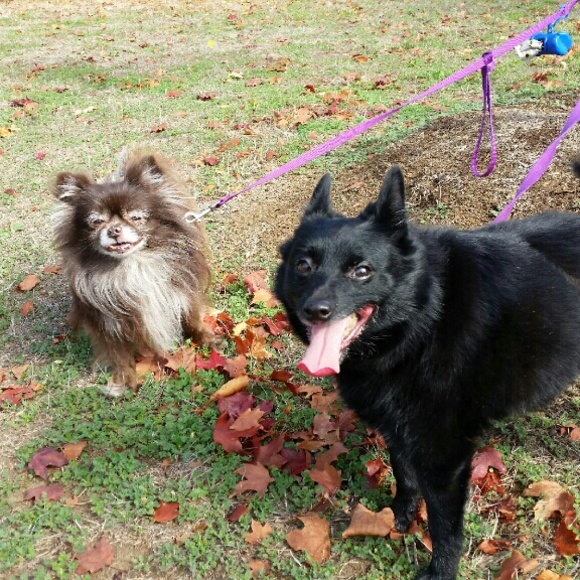 Penny Odland - Poshmark Profile Picture of Penny Odland (@penee) on Poshmark