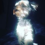 Profile Picture of Paige Sizemore (@love_tinkerbell_12) on Instagram
