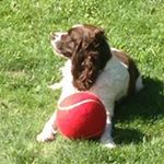 Profile Picture of Darryl Missy Felton (@feltondm) on Instagram