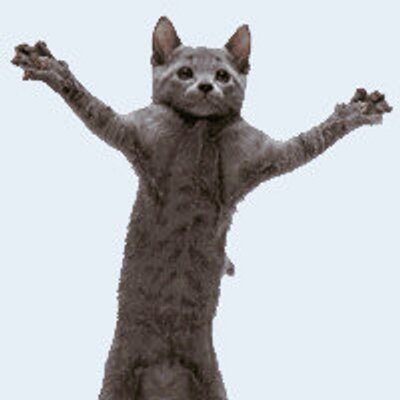 Profile Picture of Andy Carlos Noboa (@andyliljon1) on Twitter