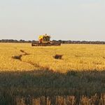 Profile Picture of Mick Cooke (@cooke.mick) on Instagram