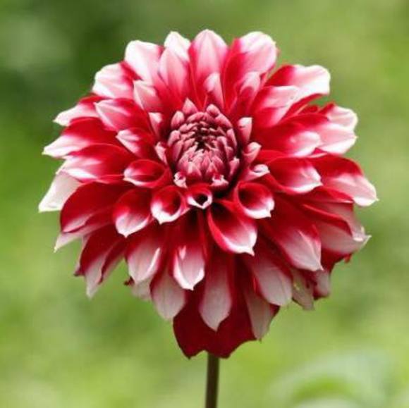 Josie Huang - Poshmark Profile Picture of Josie Huang (@josiehuang) on Poshmark