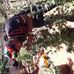 Profile Picture of Andrew Peart (@andrew.peart.758) on Facebook