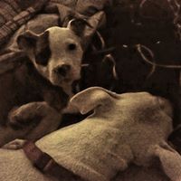 Profile Picture of Hallie Sullivan (@hallie-sullivan-1) on Quora