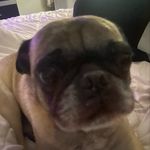Profile Picture of 𝒞𝒶𝓈𝓈𝒶𝓃𝒹𝓇𝒶 𝒞𝒶𝓁𝒹𝑒𝓇𝑜𝓃 (@cassandra.176) on Instagram