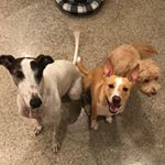 Profile Picture of Tim Bridges (@timmmeyyb) on Instagram