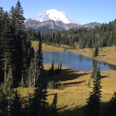Profile Picture of Steve Maris (@seattletravel) on Twitter