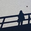 Profile Picture of K.M.Hu (@K.M.Hu) on Flickr