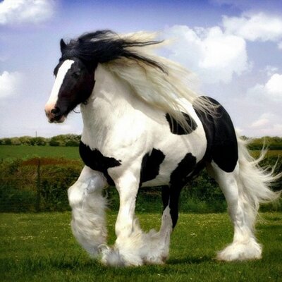 Profile Picture of JohnBradleyHinkle (@HinkleBradley) on Twitter