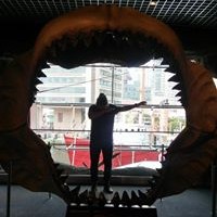 Profile Picture of Peter Flores (@peter-flores-11) on Quora