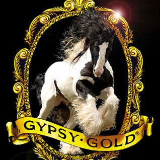 Profile Picture of Dennis Thompson (@GypsyGoldVanner) on Twitter