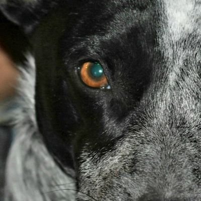 Profile Picture of Jim Coffman (@JimCoffman13) on Twitter