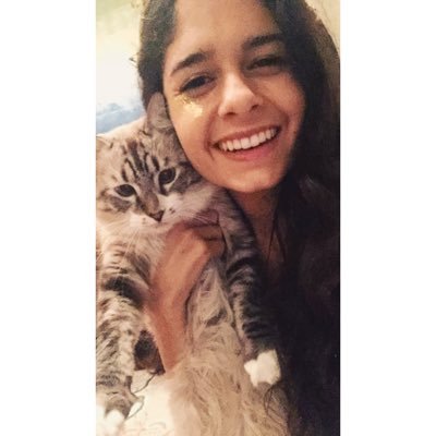 Profile Picture of Kristin Kish (@KishKristin) on Twitter