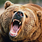 Profile Picture of Earl Shanks (@Draytonfilms) on Youtube