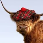 Profile Picture of Keith Millar (@keith_millar) on Instagram