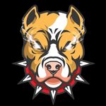 Profile Picture of 𝚁𝚘𝚙𝚊 𝚄𝚛𝚋𝚊𝚗𝚊 (@__sky__boss__) on Instagram