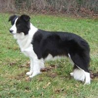 Profile Picture of Deb Graham (@deb-graham-19) on Quora