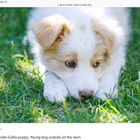 Profile Picture of Tori Gonzalez (@tori-gonzalez-20) on Quora