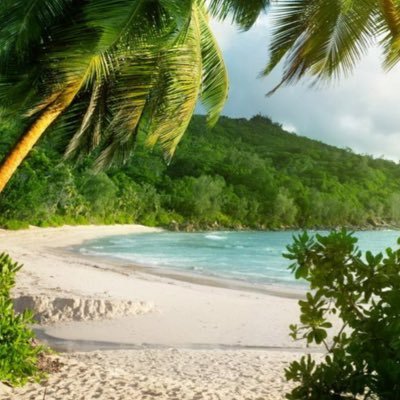 Profile Picture of Miguel Corchado (@mikeycuba) on Twitter