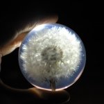 Profile Picture of Hideki Sato (@hibisaikou) on Instagram