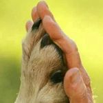 Profile Picture of Christopher Mad'Dene (@christopher.maddene) on Instagram