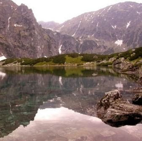 Profile Picture of Roman Bachurski (@roccobach) on Poshmark