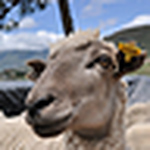 Profile Picture of Nathalie Farías Wybert (@nathaliefw) on Flickr