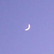 Profile Picture of Daniel Yanes (@danielyaness) on Youtube