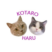 Profile Picture of Kyu-chan - (@TheEVERSERA) on Youtube