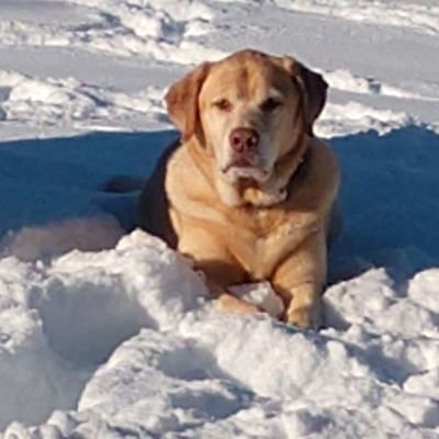 Profile Picture of Jim Uslin (@jim_uzzy) on Twitter