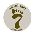 Profile Picture of Chris Perrett Naturesart (@chrisperrett_naturesart) on Instagram