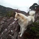 Profile Picture of Alex Gillis (@gillis.alex) on Instagram