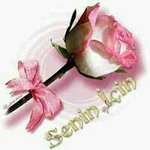 Profile Picture of Amir Digaleh (@digaleh) on Instagram