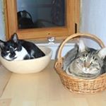 Profile Picture of Pam Denton (@dentonpam) on Instagram