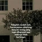 Profile Picture of Pets Ker (@Pets-Ker) on Facebook