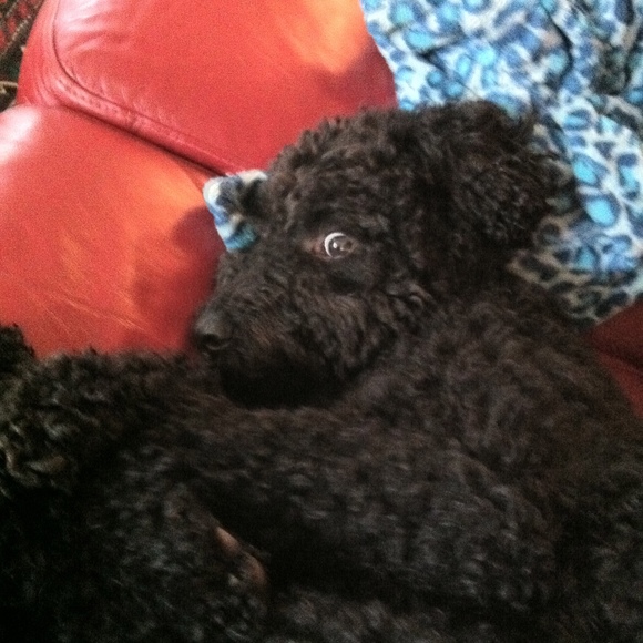 Profile Picture of Mary lou Manifold (@marylouise27) on Poshmark