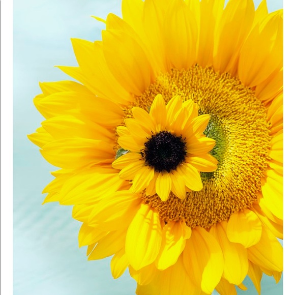 Profile Picture of Shelby Zyskowski (@zysk23) on Poshmark