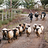 Profile Picture of Jeff Crandall Photography Photo School Assignments (@Photo School Assignments) on Flickr
