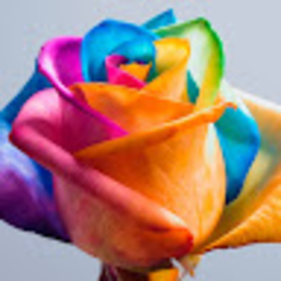 Profile Picture of Natalie Raeburn (@natalie_raeburn) on Poshmark