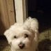 Profile Picture of Loretta Rosetti (@loretta.rosetti.7) on Facebook