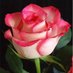 Profile Picture of Sapna Verma (@sapnaverma7892) on Twitter