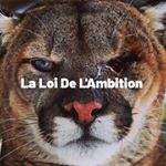 Profile Picture of La Loi de L'Ambition (@loi_de_lambition) on Instagram