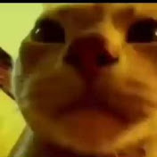 Profile Picture of Guillermo Tolentino (@guillermotolentino8427) on Youtube