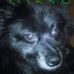 Profile Picture of Stephen Harnick (@stephen.harnick.3) on Facebook