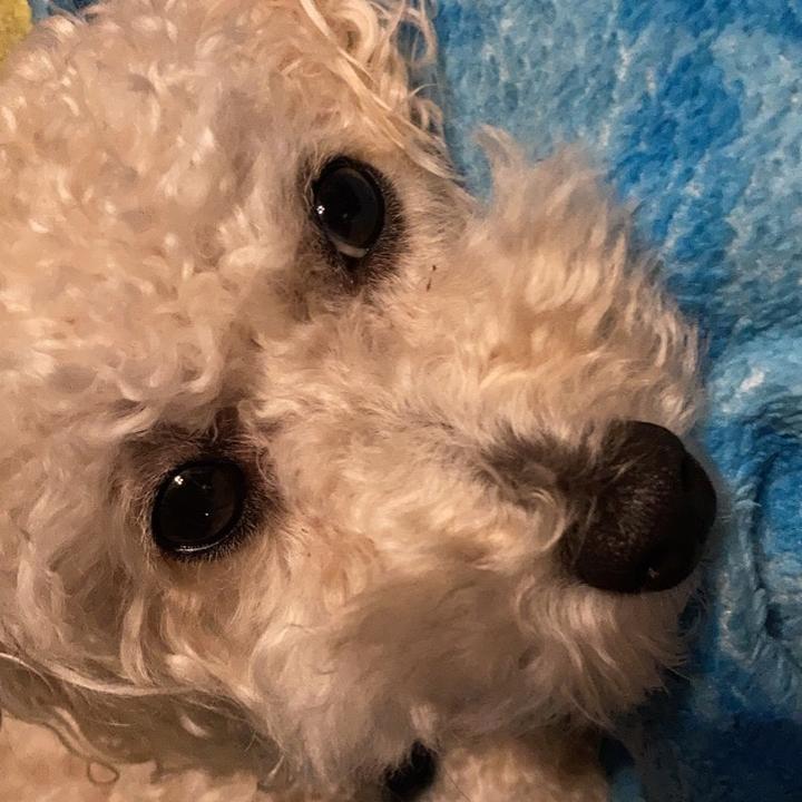 Profile Picture of Michael Ramberger (@papihobo1) on Tiktok