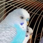 Profile Picture of aroldy alieth arias bustos (@aroldyalietharias) on Instagram